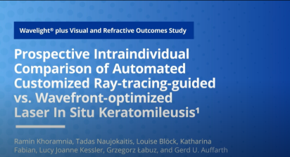 Prospective Intraindividual Comparison of Automated Customized Ray-Tracing-guided vs. Wavefront-optimized Laser In Situ Keratomileusis